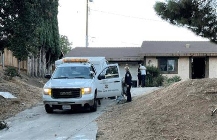 
16-year-old girl mauled by 6 of her family dogs in Southern California 