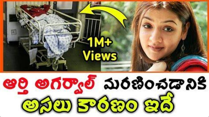 
Aarti Agarwal Cause of Death, How did Aarti Agarwal Die? 