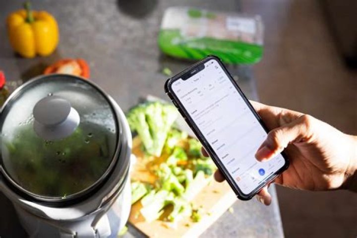 
Alex Becker’s facts and net worth: Everything about the famous tech and nutrition expert 