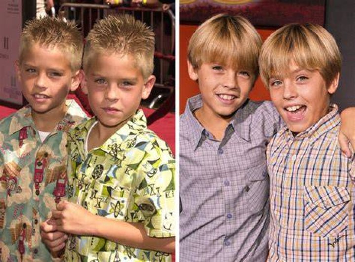 
Cole Sprouse Brother Dylan Sprouse And Family Background 