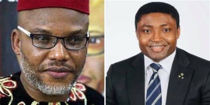 Dr Nelly Ofoegbu Wikipedia Bio And Pictures: Simon Ekpa Beef On Social Media Explained