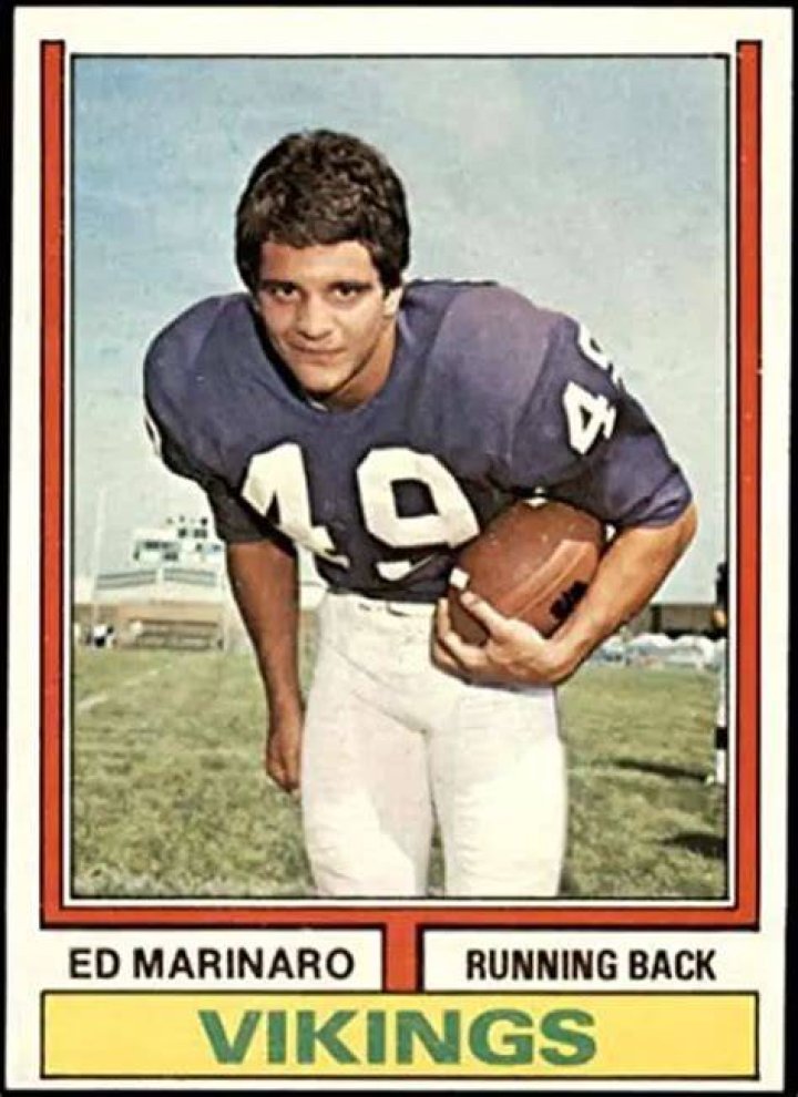 
Ed Marinaro Height, Weight, Net Worth, Age, Birthday, Wikipedia, Who, Nationality, Biography 