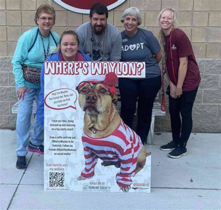 
Ind. Community Starts ‘Where’s Waylon?’ Project to Help Dog Waiting in Shelter Over 600 Days 