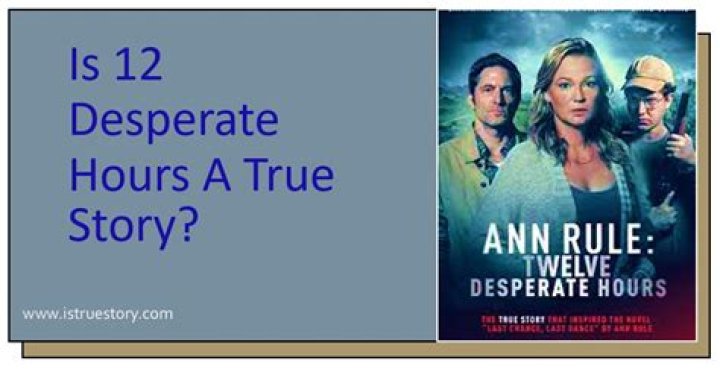 Is 12 Desperate Hours based on a true story? Release date, air time, cast, and more details