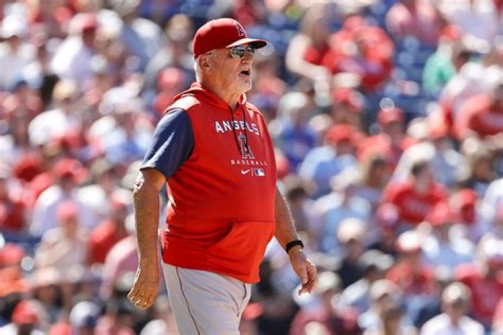 
Joe Maddon Net Worth And Career Record, Why Was He Fired As Angels Manager? 