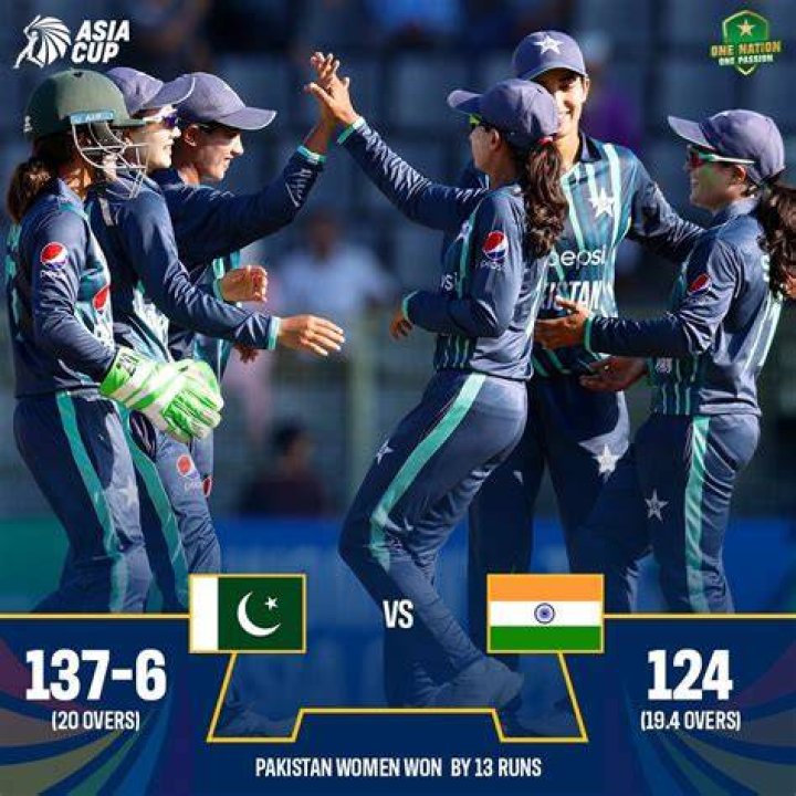 
K’taka: Four minors detained for celebrating Pakistan’s T20 win 