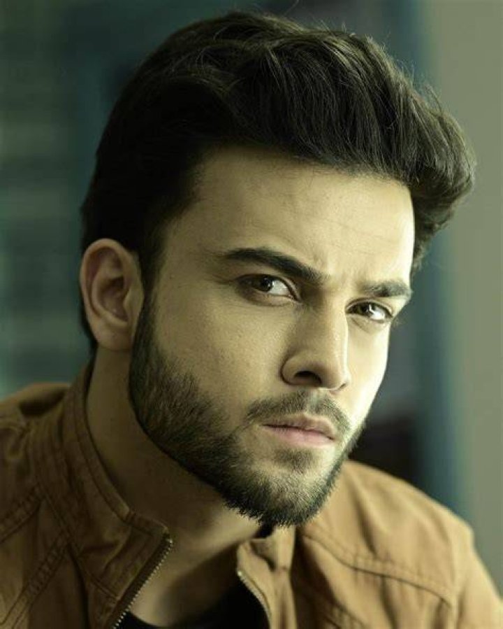 
Krishna Kaul Height, Weight, Net Worth, Age, Birthday, Wikipedia, Who, Nationality, Biography 
