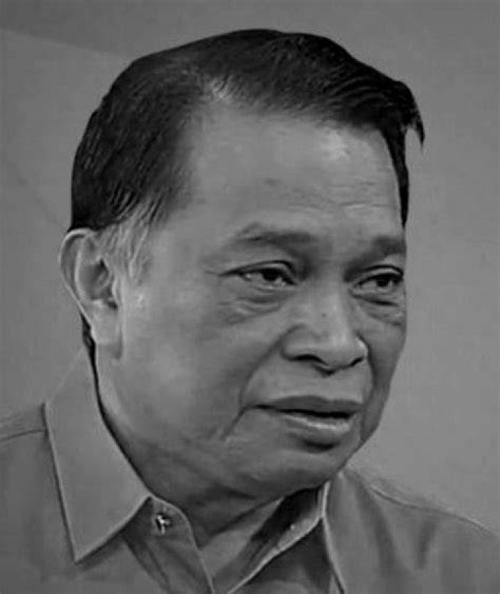 
Land Transportation Office Chief, Alberto Suansing, dies at 70 