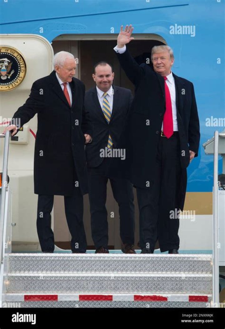 
Orrin Hatch And Donald Trump Relationship, Allegations History On Twitter 