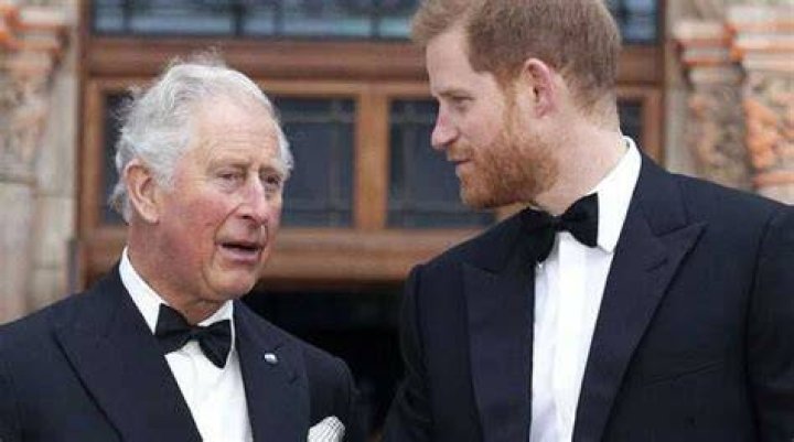 
Prince Harry put his foot down, ‘delayed’ royal planes as Queen took final breath 