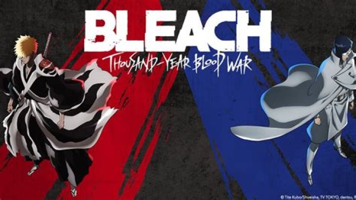 
What Is Coming Out of Bleach Thousand Year Blood War Part 2? 