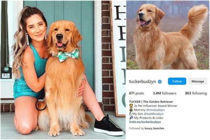 
What Is Courtney Budzyn Religion? Everything On Tucker Budzyn Owner Faith And Beliefs 