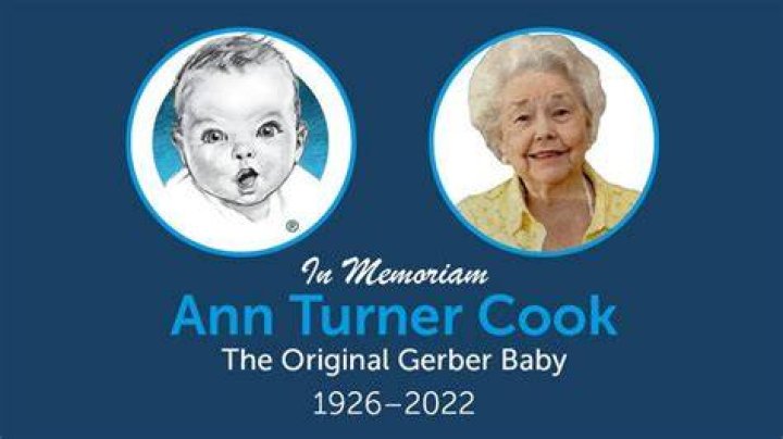 What Was Gerber Baby Net Worth At Death? Ann Turner Cook Career Earnings