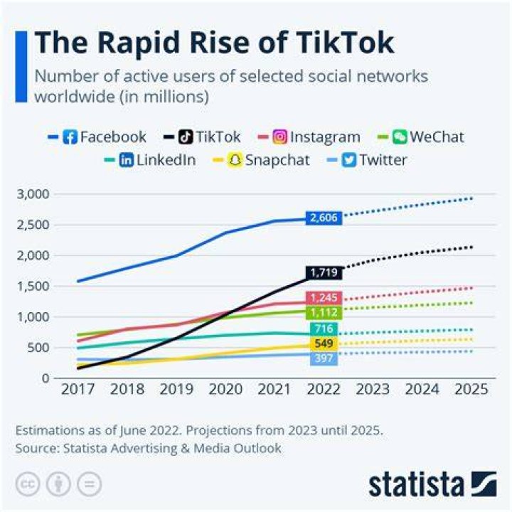 Who Is Birlap On Tiktok? Instagram & Other Social Media Details