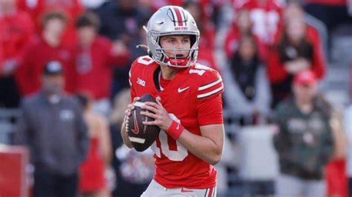 Who is Brian Hoyer? Spouse, net worth (income and earnings), other details about The Quarterback