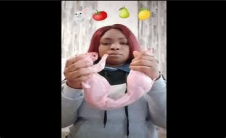 
Who Is Jasminewhite403 On TikTok? Jasmine White Twitter Bio and More 